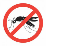 Lưới chống muỗi và cuộc chiến bảo vệ sức khoẻ gia đình